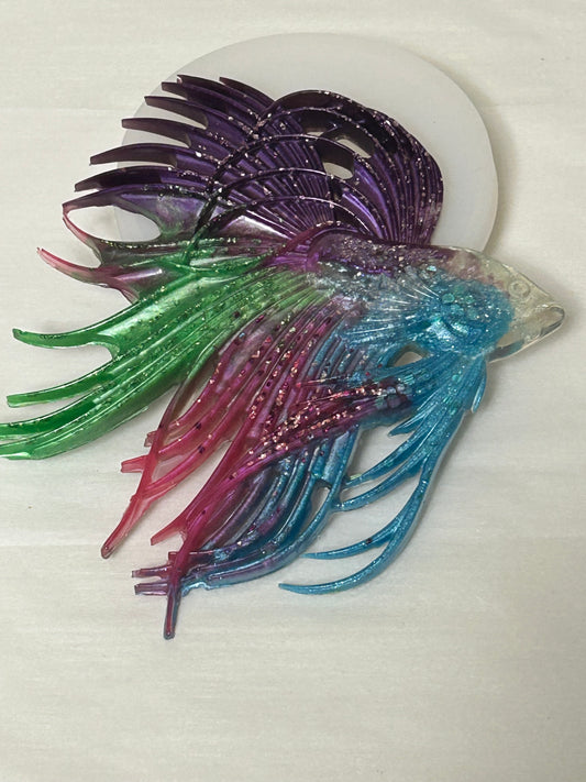 Beta Fish